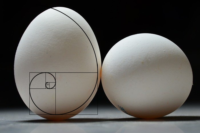 Φ Matematica Segreta Dell'uovo