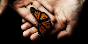 L'ingratitudine